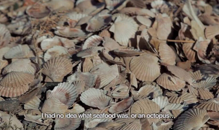 2020-10-01-20_00_05-Juan-Manuel-Yeri-Racig-on-Behance